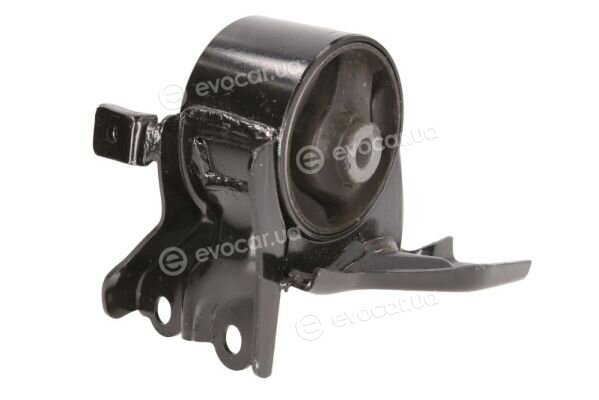 Tedgum TED40055