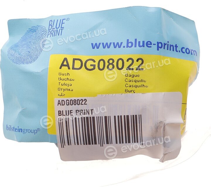 Blue Print ADG08022