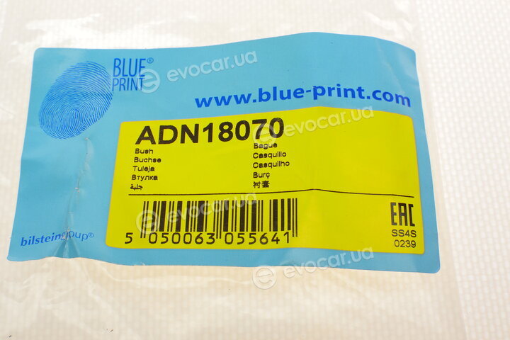 Blue Print ADN18070