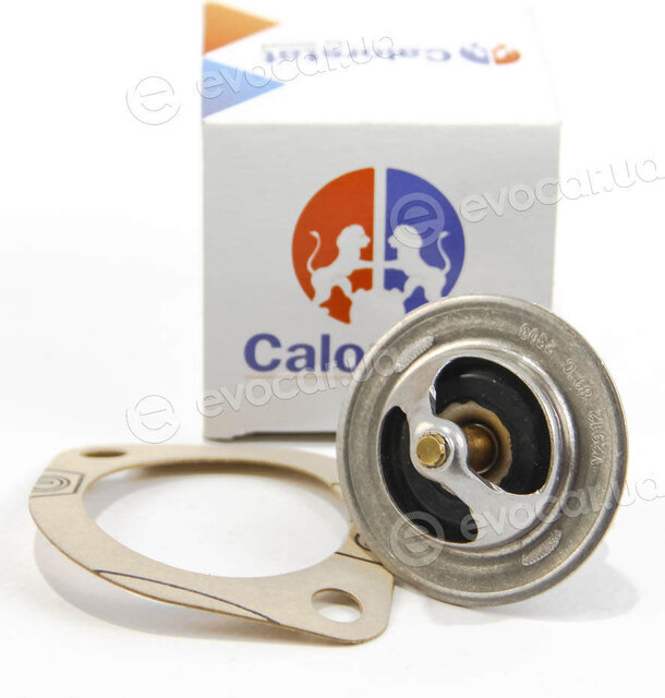 Vernet / Calorstat TH6858.89J