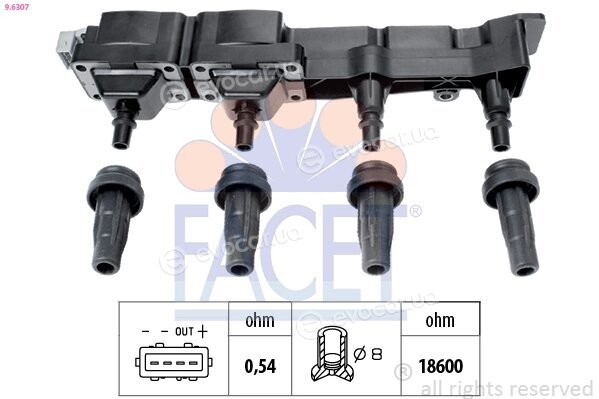 Facet 9.6307