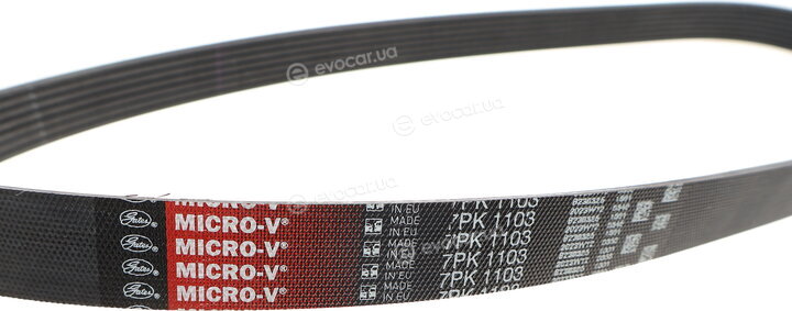Gates 7PK1103