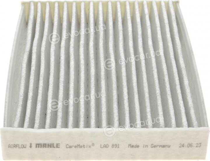 Mahle LAO 891