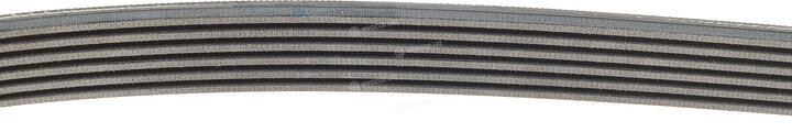 Continental 6PK1080 EXTRA