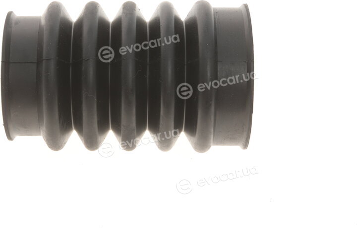 Solgy 218001