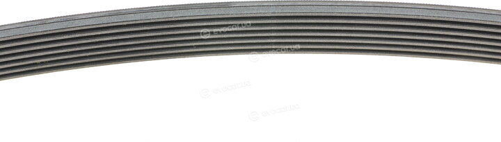 Continental 7PK2283