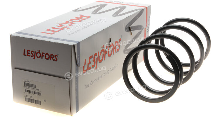 Lesjofors 4062057