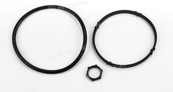 Elring 399.510