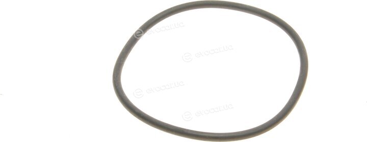 Mahle OX 173/2D