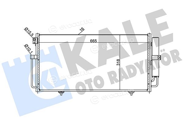 Kale 389600