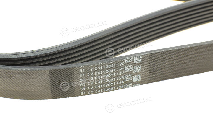 Continental 7PK2035