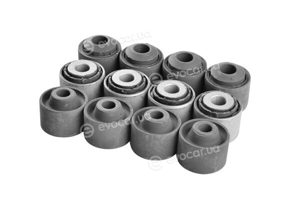 Tedgum TED36009