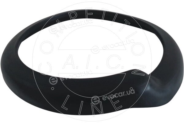 AIC 56081