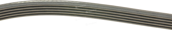 Dayco 5PK1815