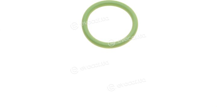 Elring 492.160