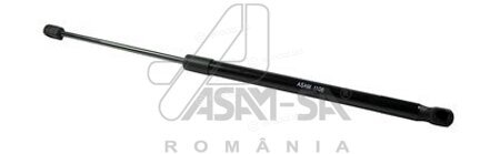 Asam 30467
