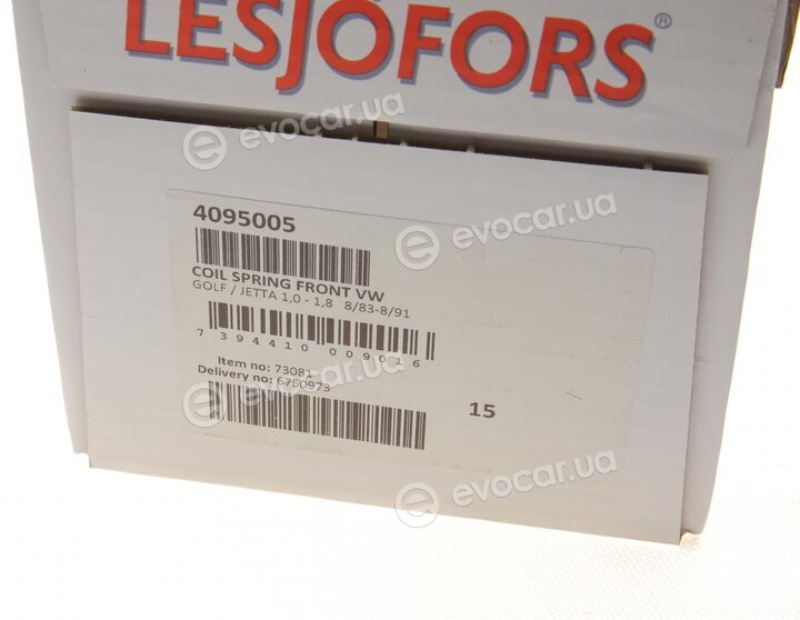 Lesjofors 4095005