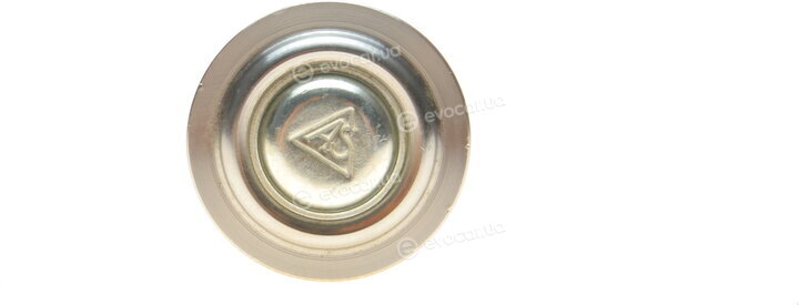 AS Metal 10RN5560
