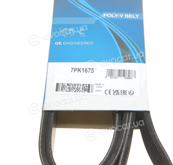 Dayco 7PK1675