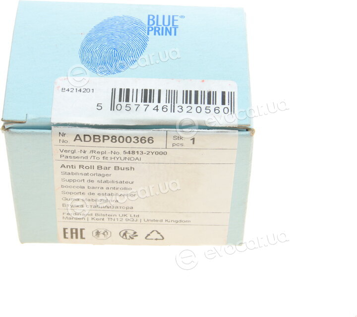 Blue Print ADBP800366