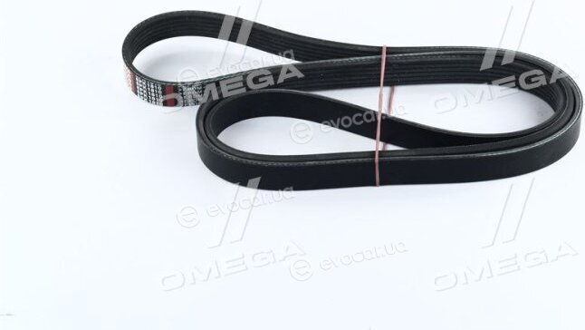 Dongil 6PK1810