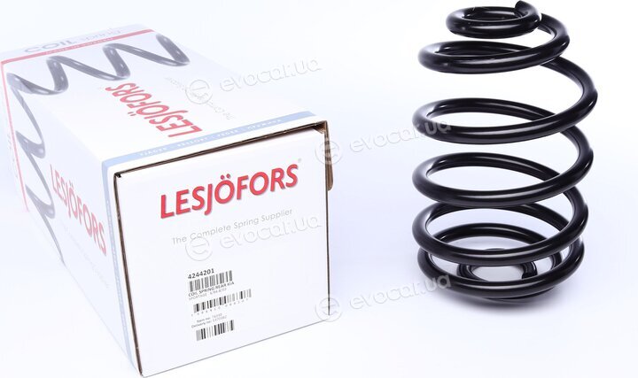 Lesjofors 4244201