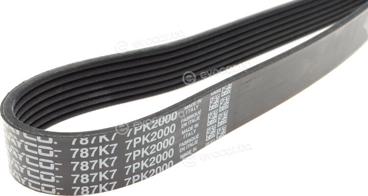 Dayco 7PK2000
