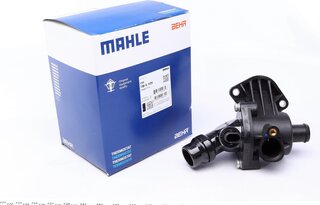 Mahle TM 6 109