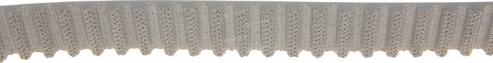 Gates K025561XS