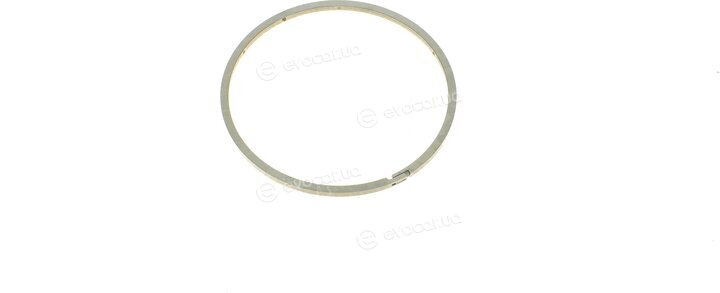 Elring 529.050