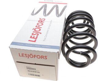 Lesjofors 4256911