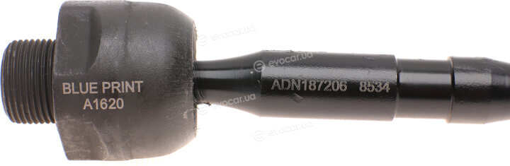 Blue Print ADN187206