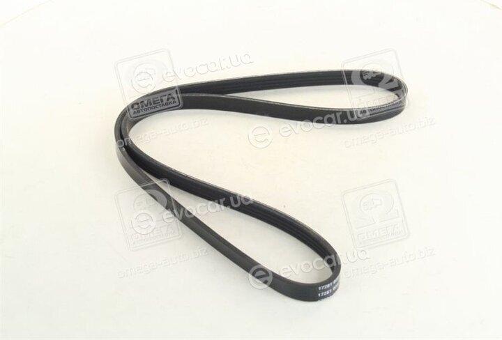 Dayco 4PK1000