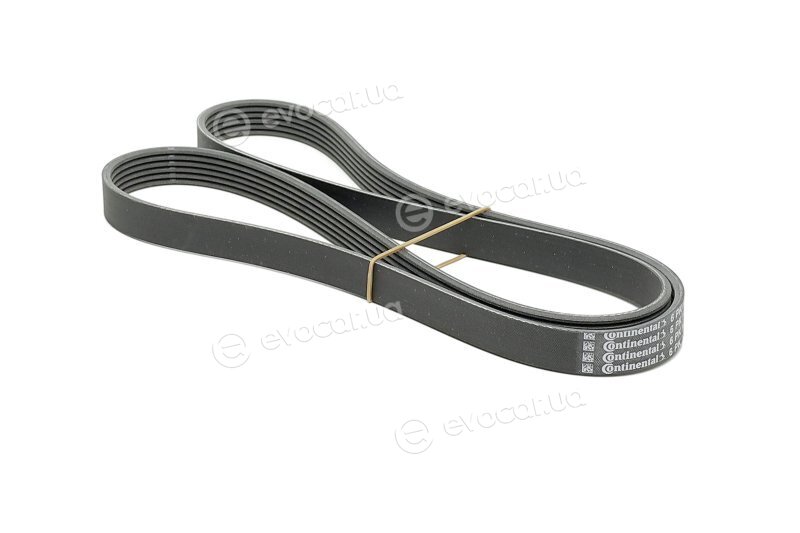 Continental 6PK1486