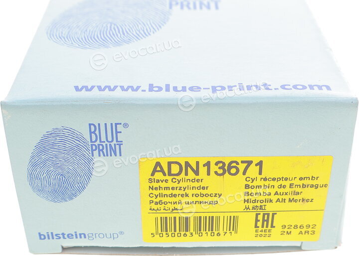 Blue Print ADN13671