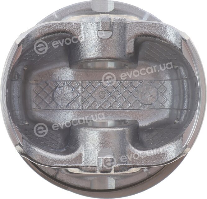 Mahle 028 PI 00118 002