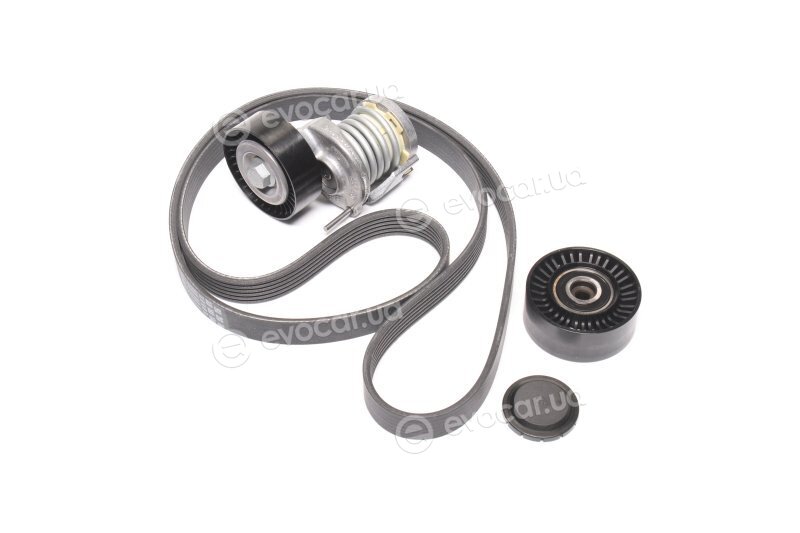 Continental 6PK1613K1