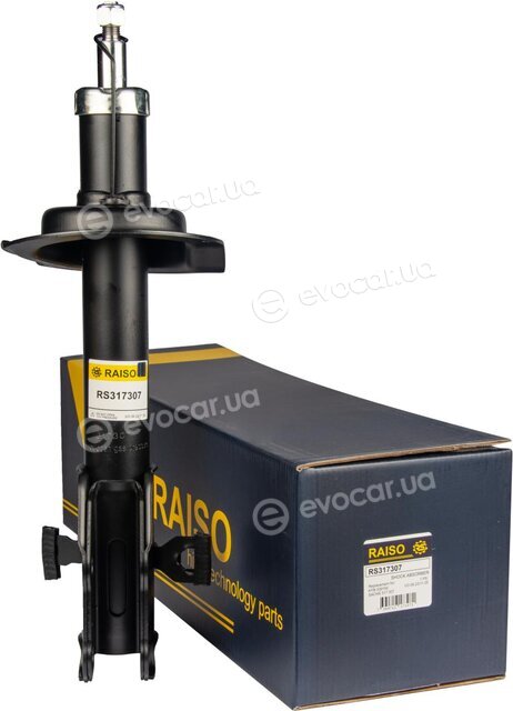 Raiso RS317307