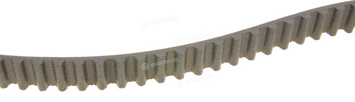 Dayco 94981