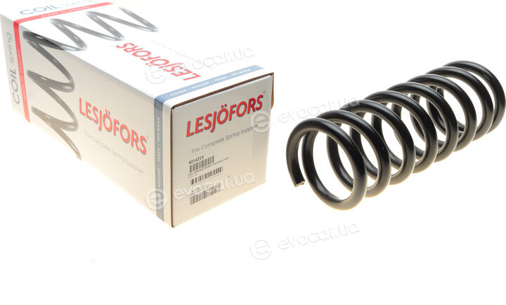 Lesjofors 4014219
