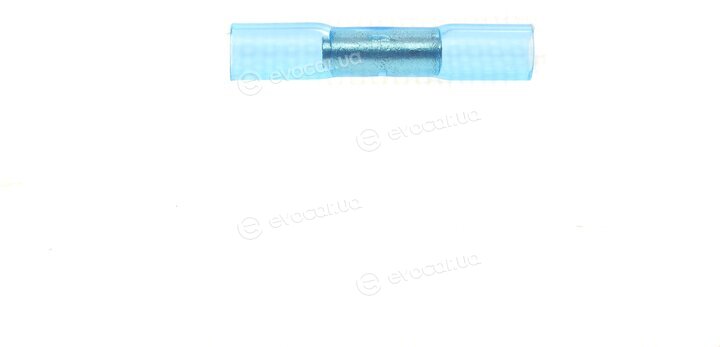 Solgy 412005