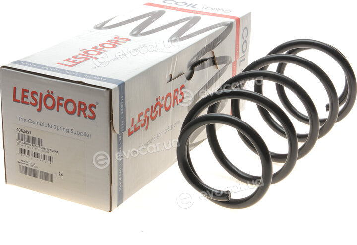 Lesjofors 4063457