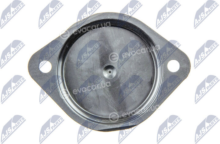 NTY EPCV-VW-006