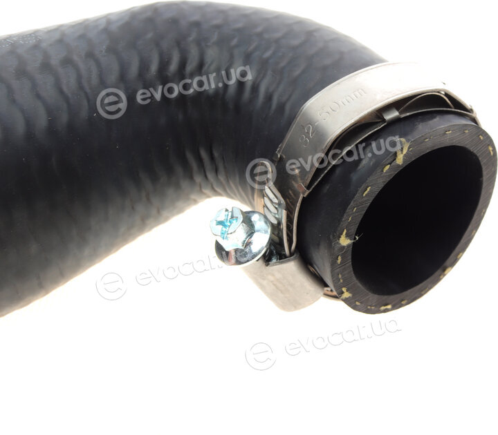 Solgy 114178
