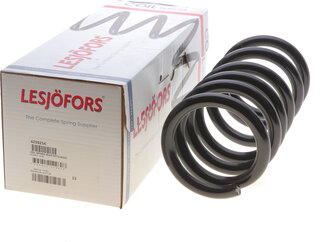 Lesjofors 4259254