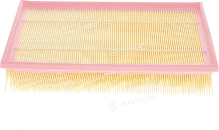 Solgy 103045