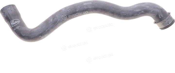 Gates 05-3361