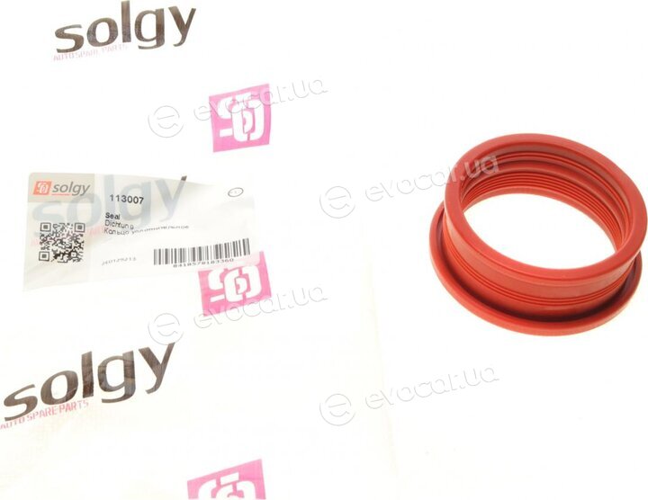 Solgy 113007