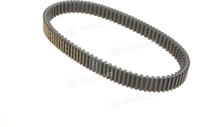 Dayco XTX2233
