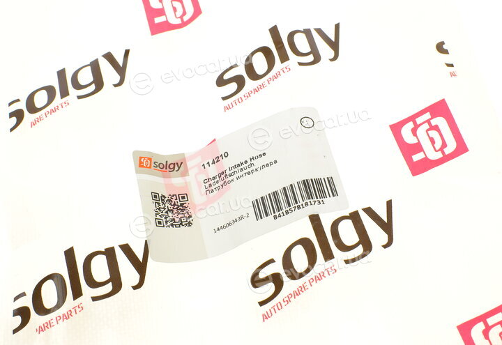 Solgy 114210